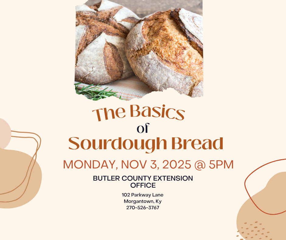 Basics of Sourdough