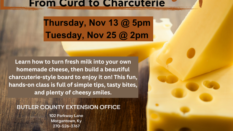 Cheese the Day flyer